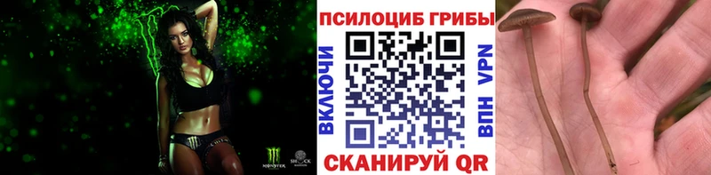 цена   hydra маркетплейс  Галлюциногенные грибы GOLDEN TEACHER  Зеленокумск 