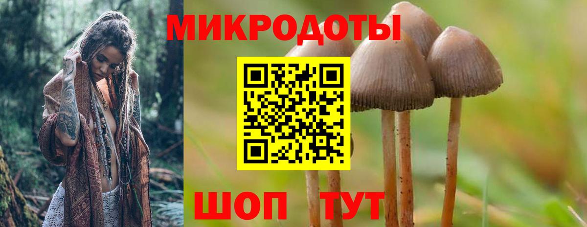 Галлюциногенные грибы мухоморы  Вход с VPN  Зеленокумск  Псилоцибиновые грибы Psilocybe 
